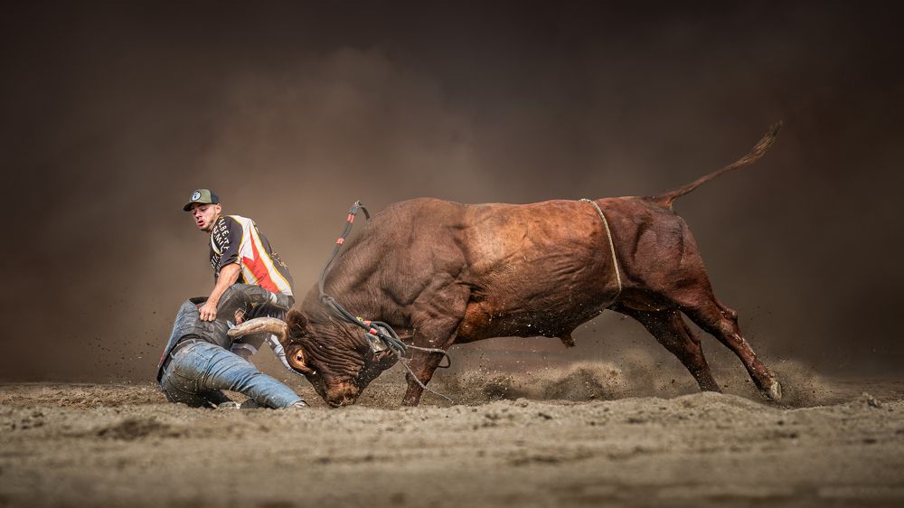 Фотография автора Liyan Dai