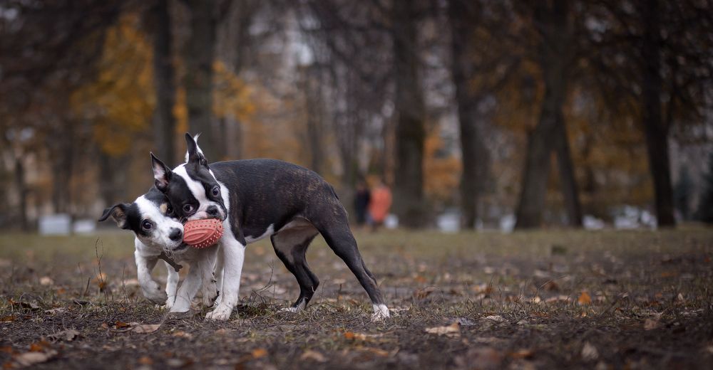 Photograph by Олег Иваницкий