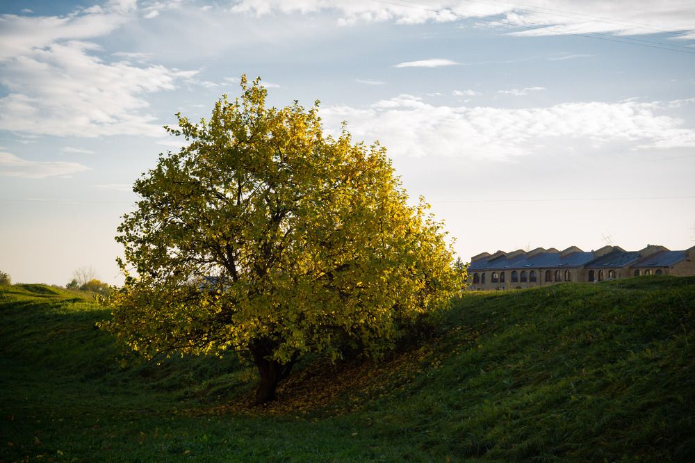 Photograph by ANDREY ALEKSANDROV