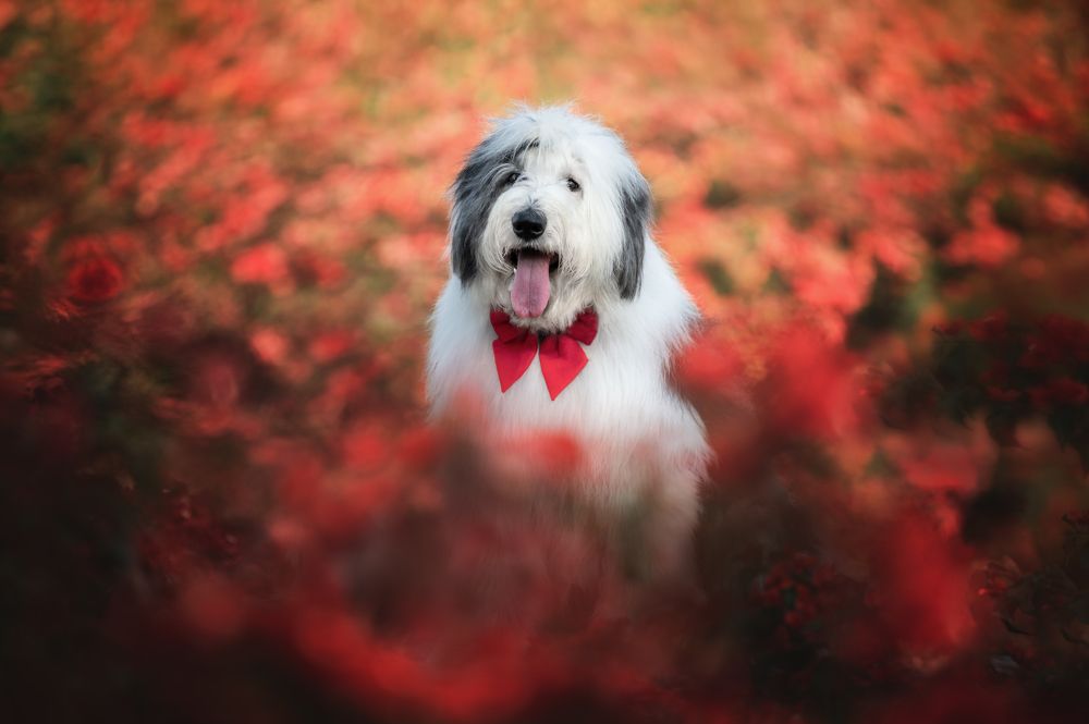 Photograph by Patricia Barros