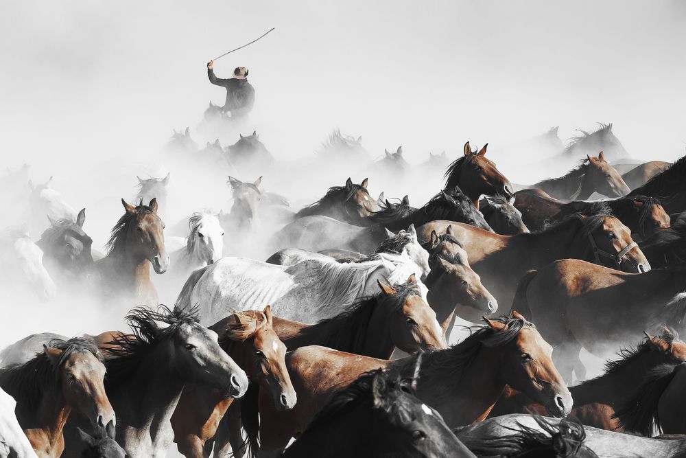 Photograph by MERIC AKTAR