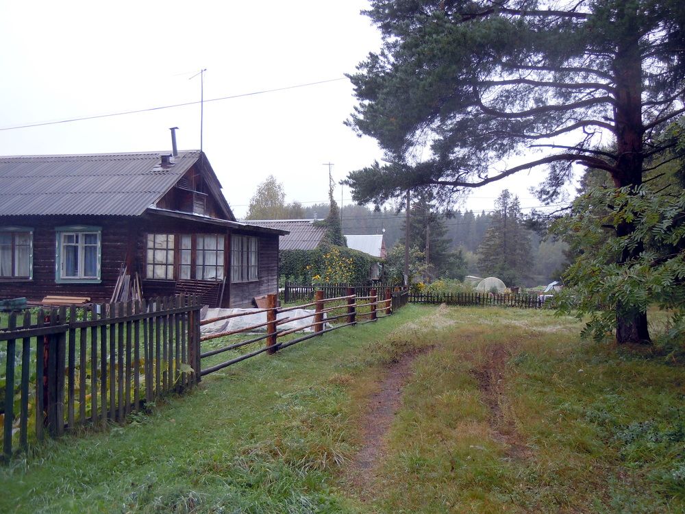Фотография автора Леонид Летягин