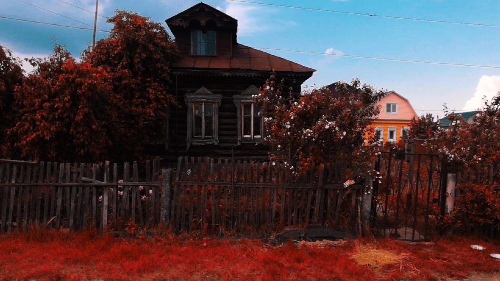 Photograph by Елена Семенова