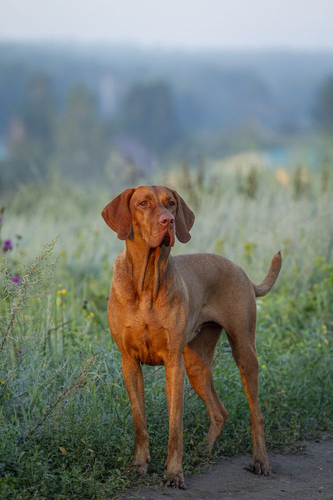 Photograph by Эльнара Васифовна