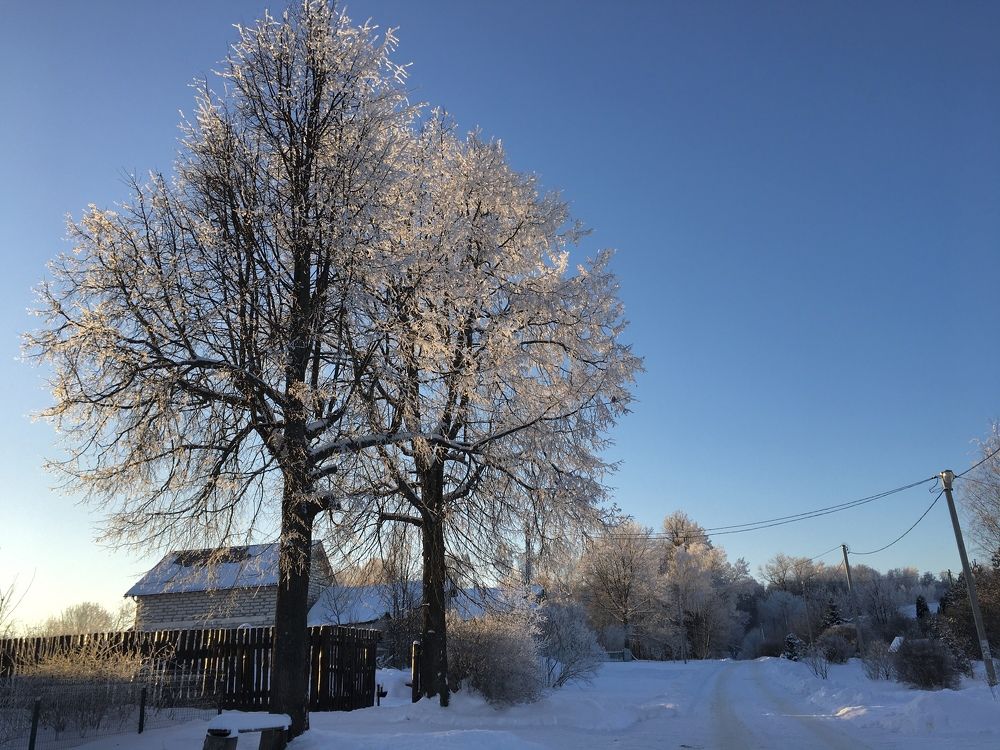 Photograph by Татьяна Захарова