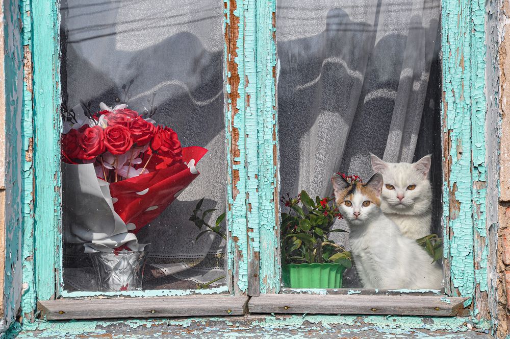 Фотография автора Ковяк Сергей Васильевич