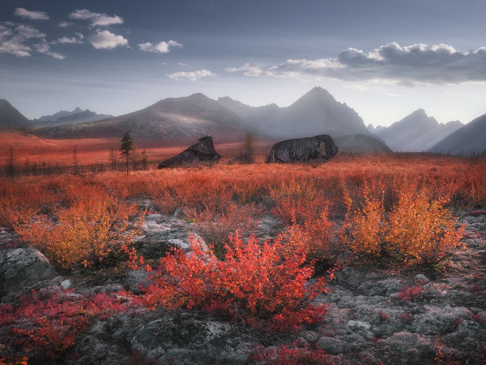 Фотография автора Dmitry Medyancev