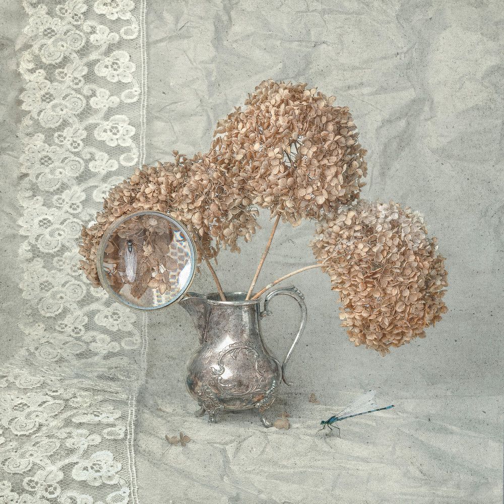 Photograph by Acrement Valentina