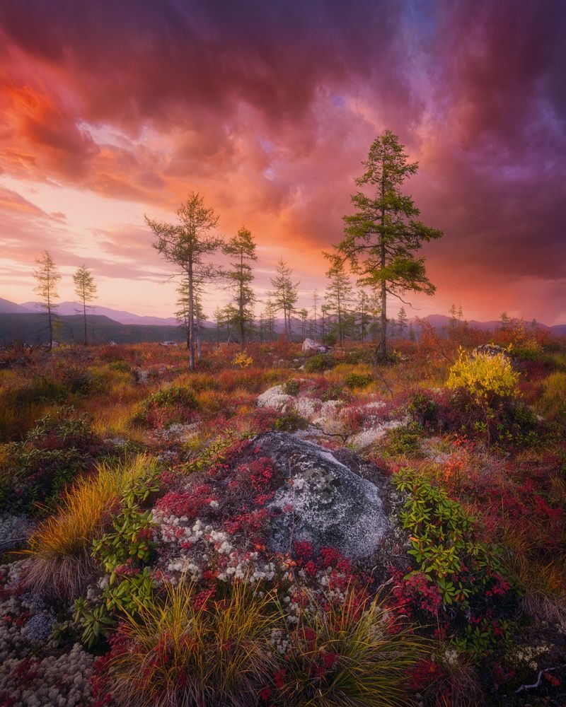 Фотография автора Dmitry Medyancev