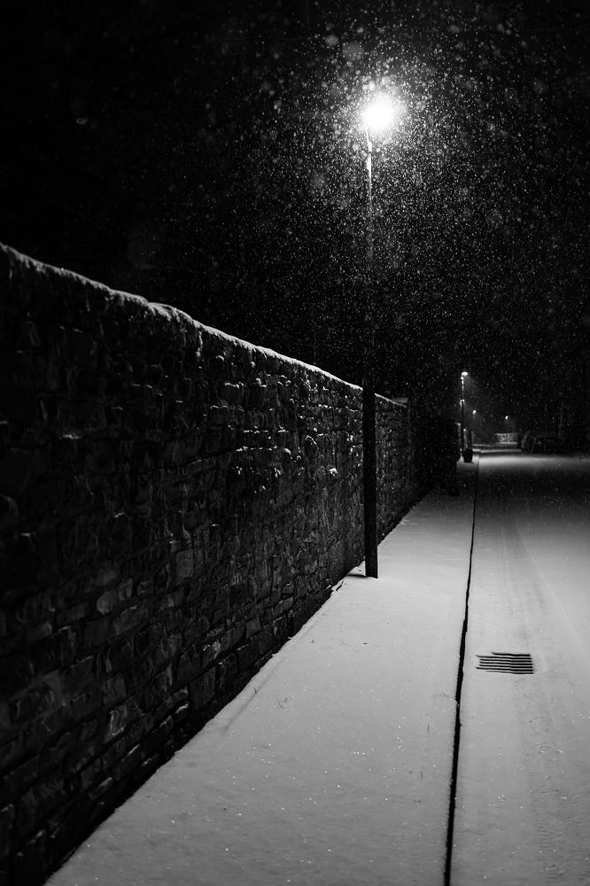 Photograph by Wiese Michael