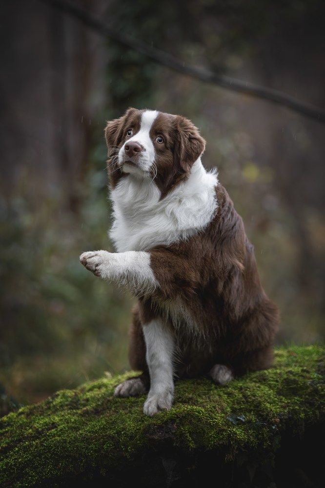 Photograph by Ирина Голомб