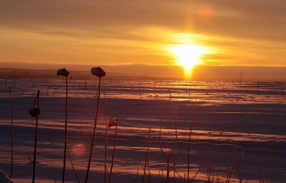 Photograph by Елена Рудкевич