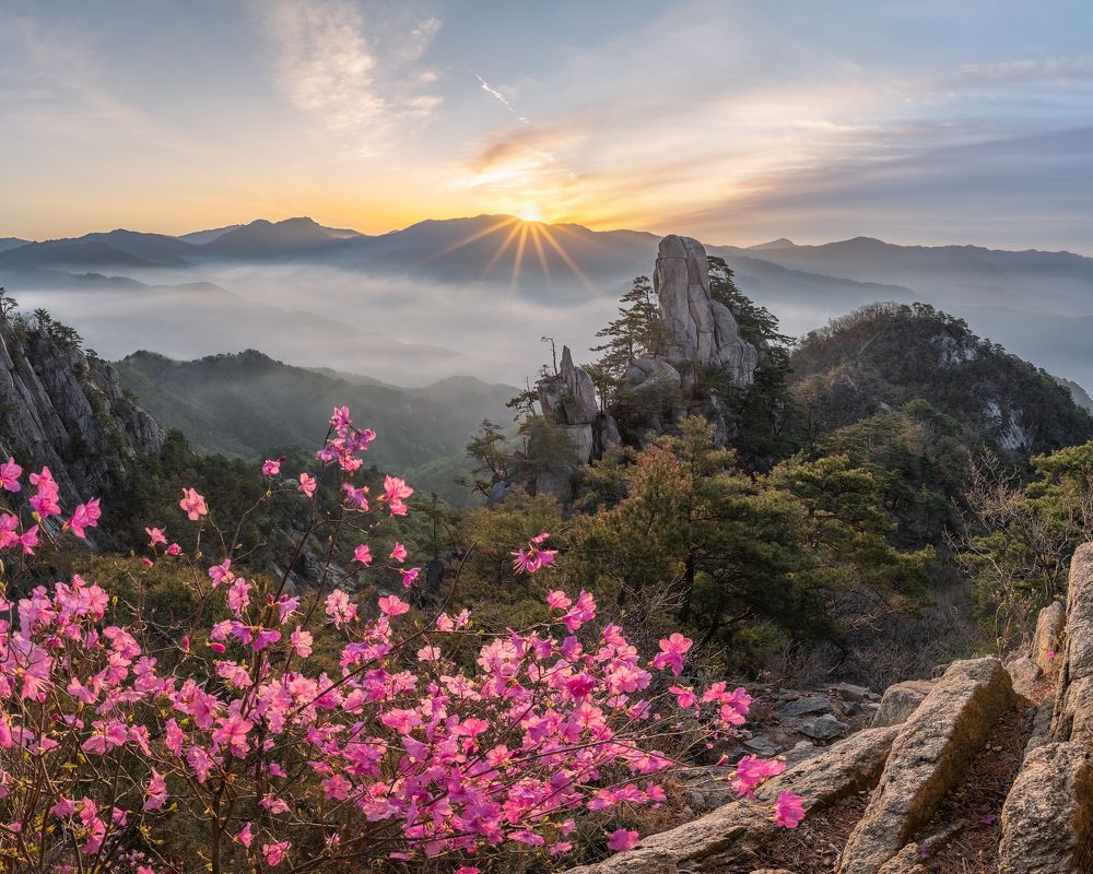 Photograph by Jaeyoun Ryu