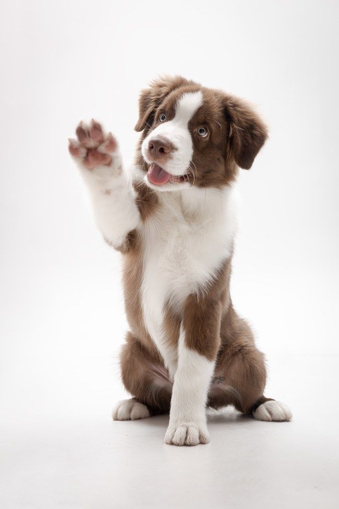 Photograph by Ирина Голомб