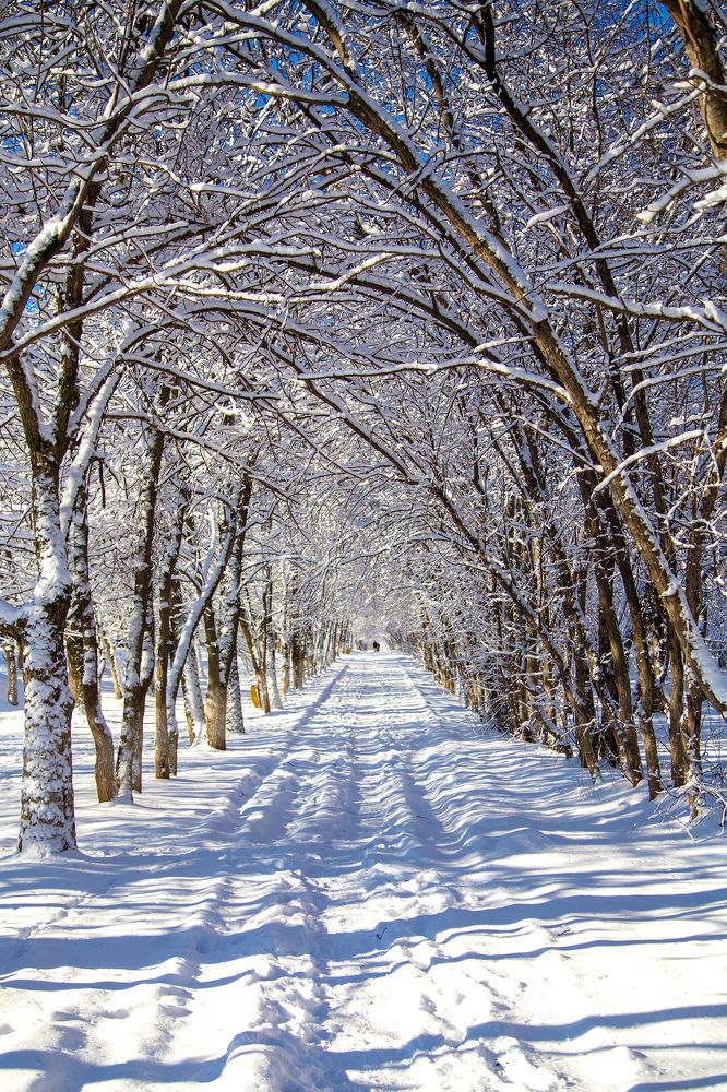 Photograph by Андрей Сафонов