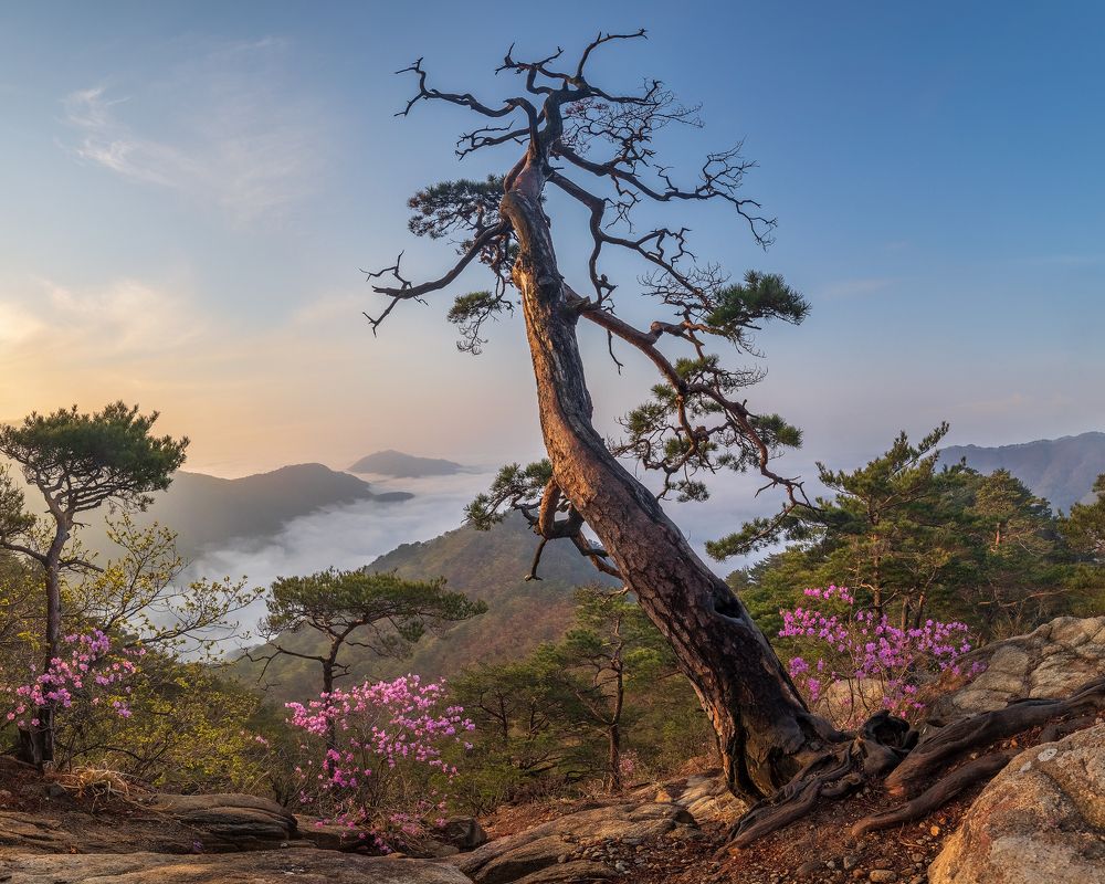 Photograph by Jaeyoun Ryu