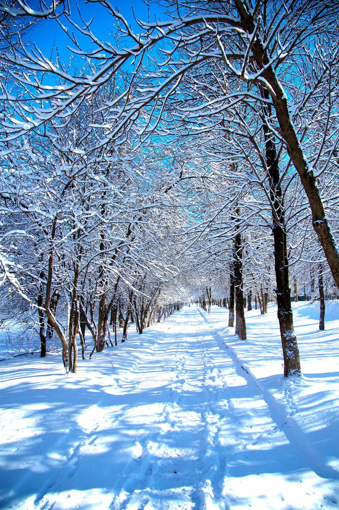 Photograph by Андрей Сафонов