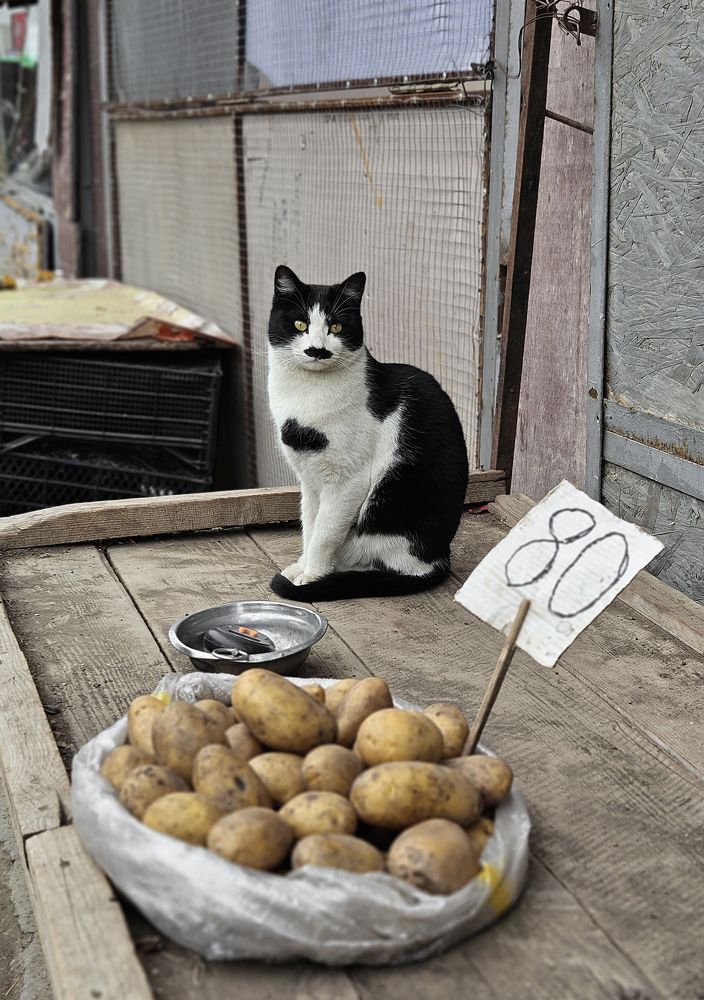 Photograph by vakho fx