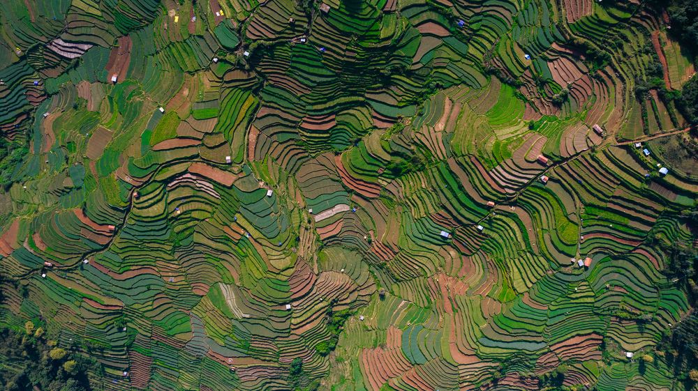 Photograph by Mahesh Magee