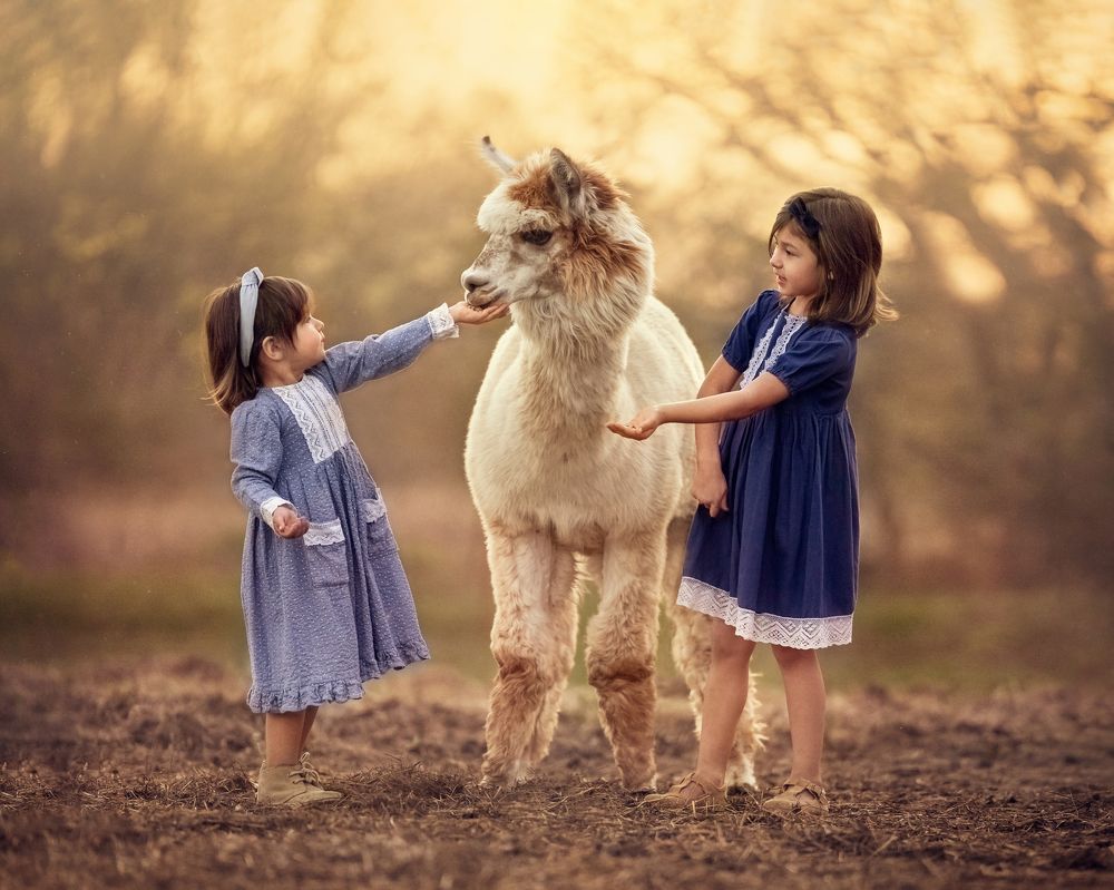 Photograph by Angie Perisse