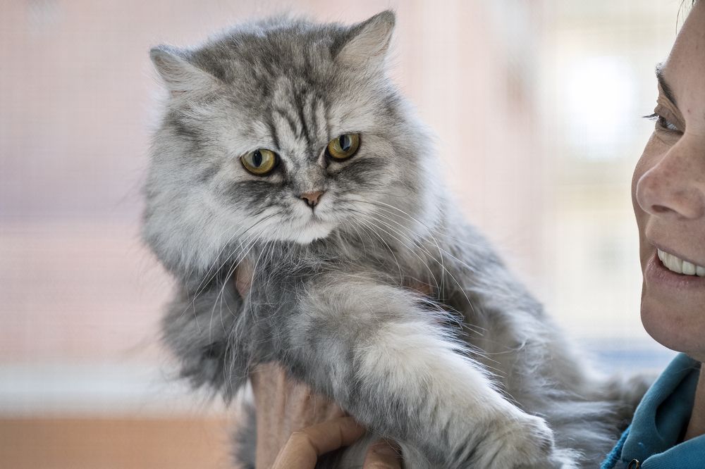 Photograph by Diana Timonina