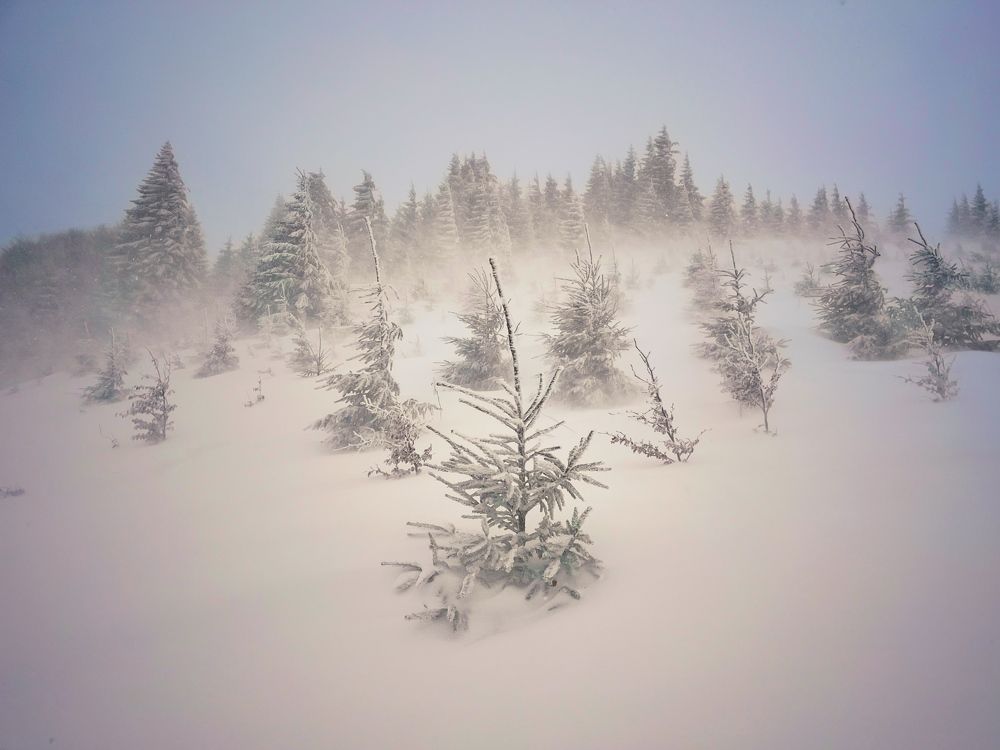 Photograph by Netedu David