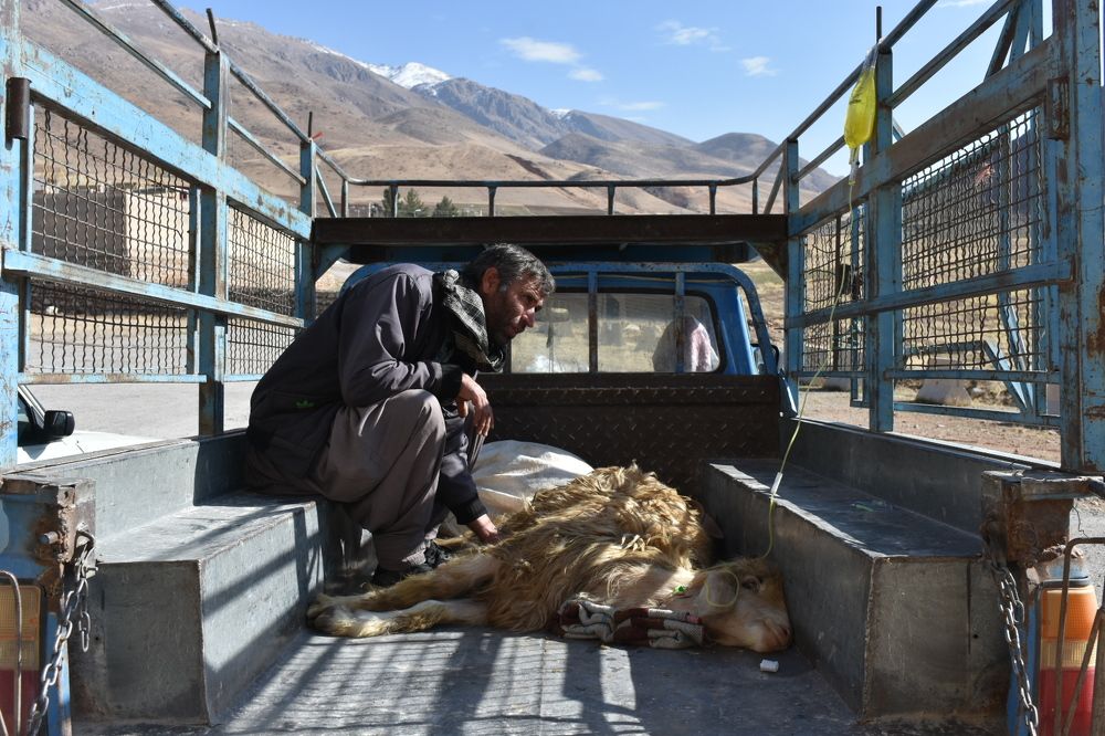 Photograph by Mostafa Ghorbani