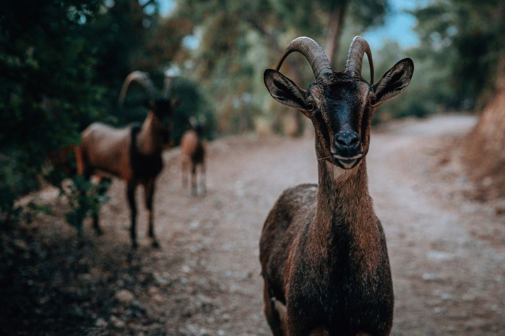 Photograph by Павел Мацепуро