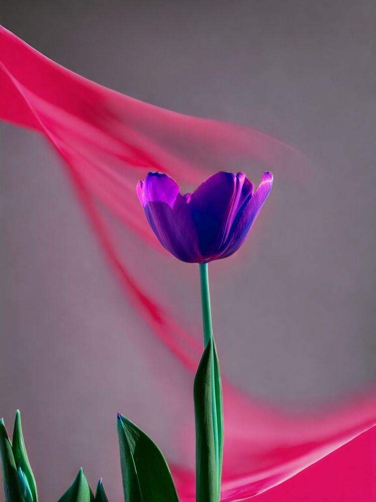 Photograph by Silvia Marcos