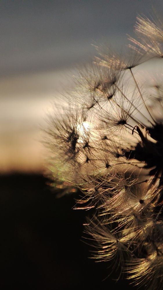 Photograph by Оксана Сандимирова