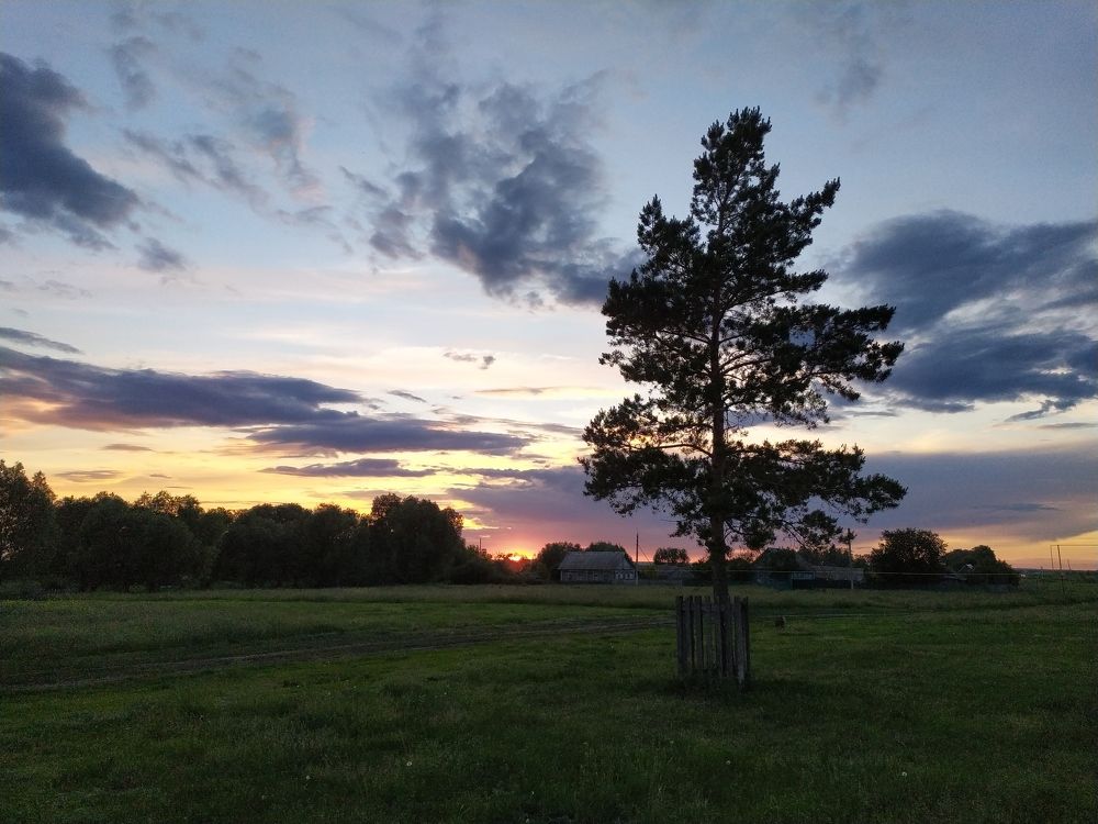 Photograph by Оксана Сандимирова