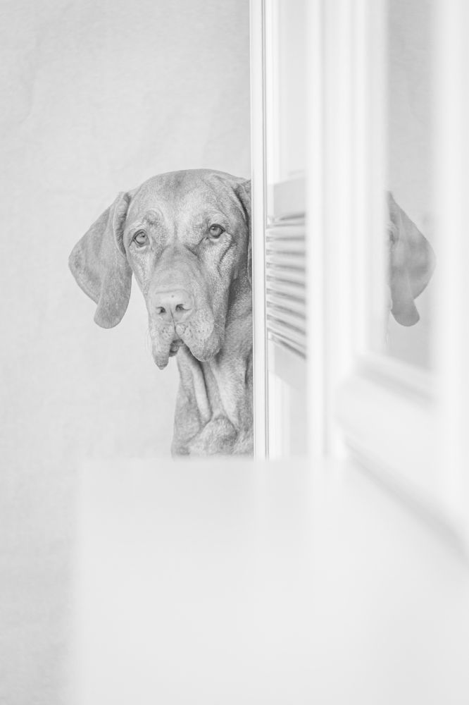 Photograph by Эльнара Васифовна