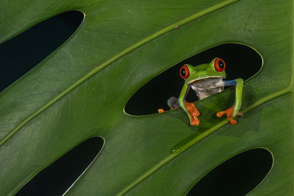 Photograph by L Zapata