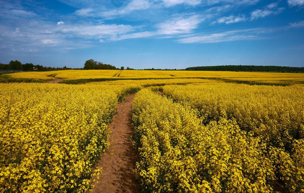 Photograph by Леонид Якутин