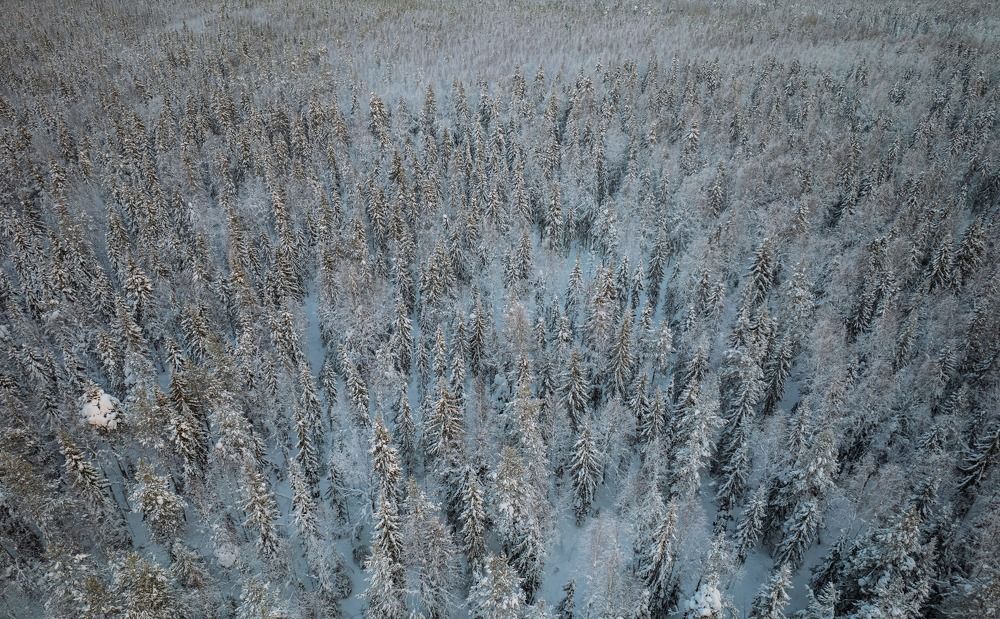 Photograph by Vladislav Trushkov