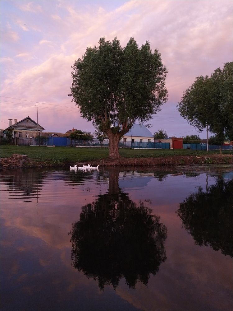 Photograph by Оксана Сандимирова