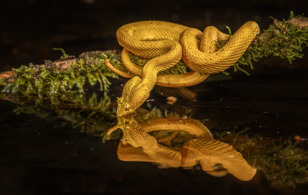 Photograph by L Zapata