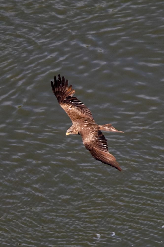 Photograph by Сергей Конюшенко