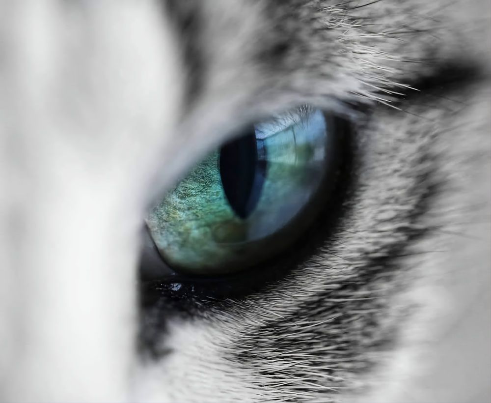 Photograph by Sekhar Kiran Krishanan