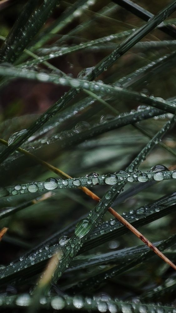 Photograph by Оксана Сандимирова