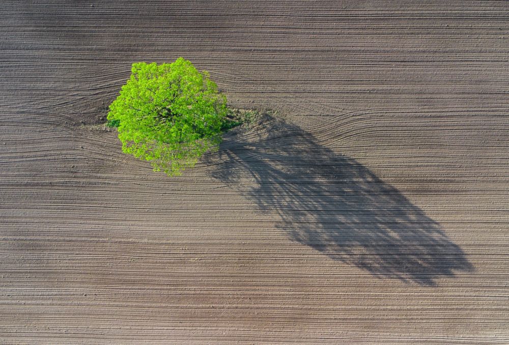 Photograph by Leanid Kulpo