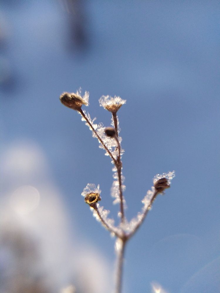 Photograph by Оксана Сандимирова