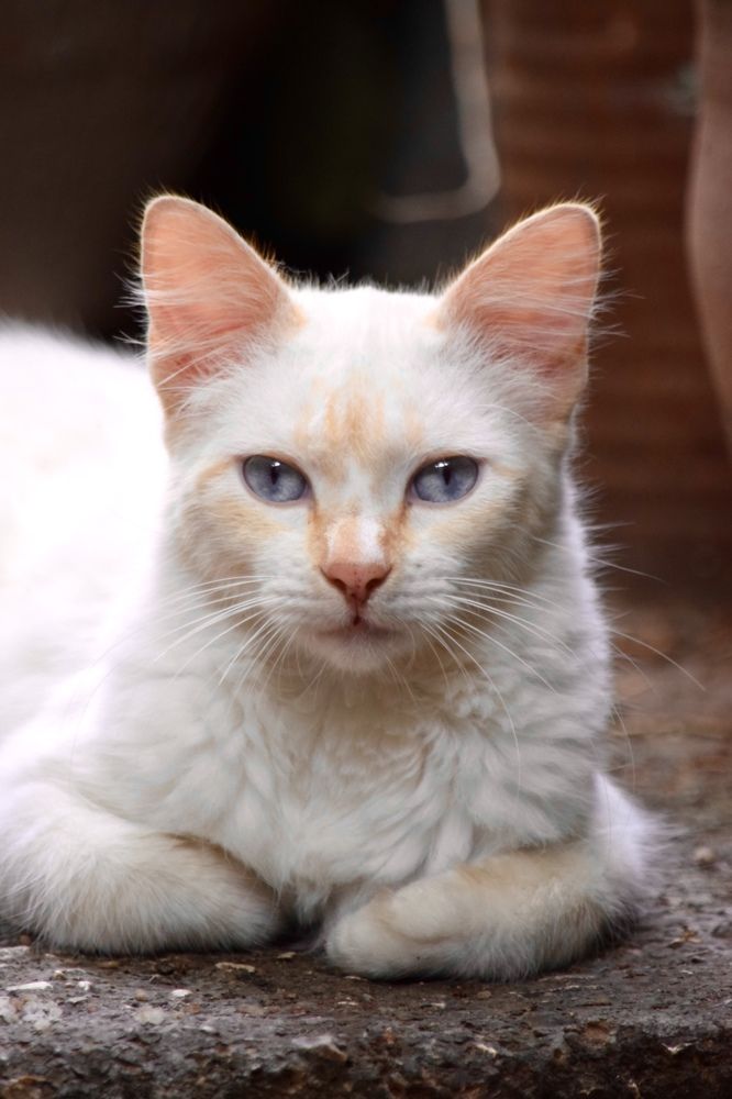 Photograph by Marcos Alejandro Ferreira Reyes