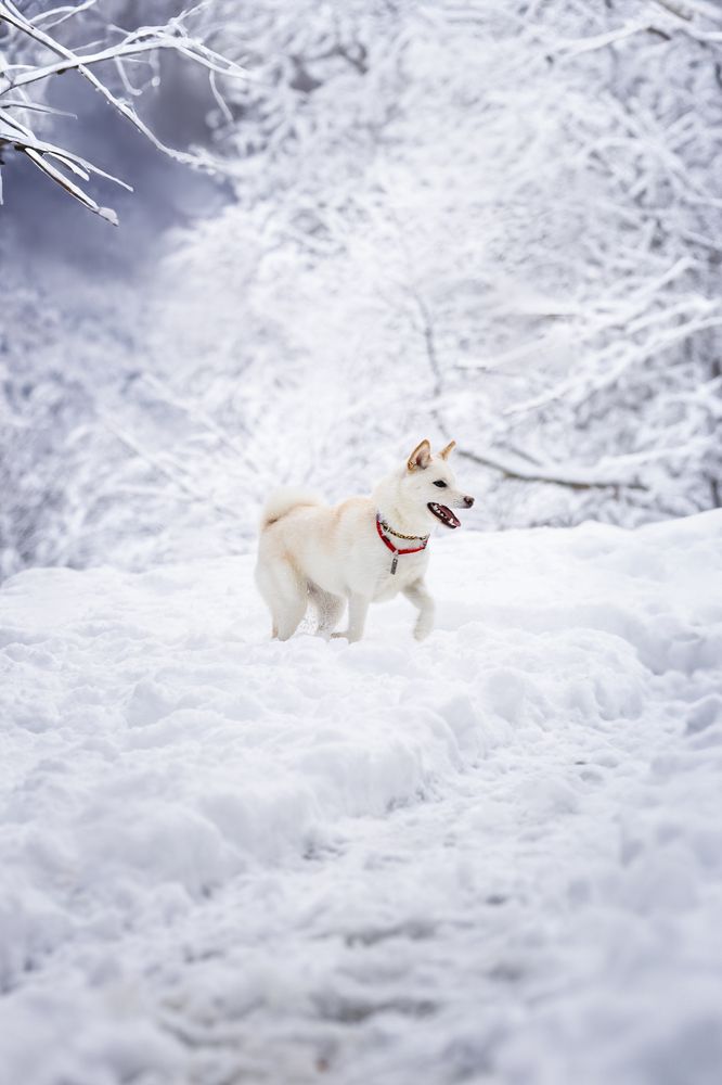 Photograph by Ирина Голомб