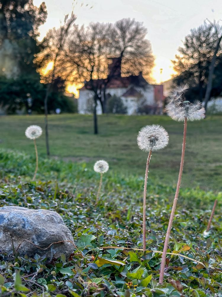 Photograph by Medina de la Campa Belen