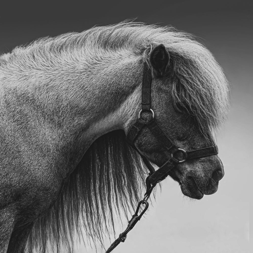 Photograph by Анжелика Титова