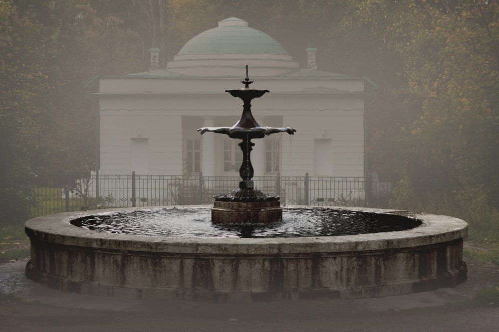 Серое спокойствие