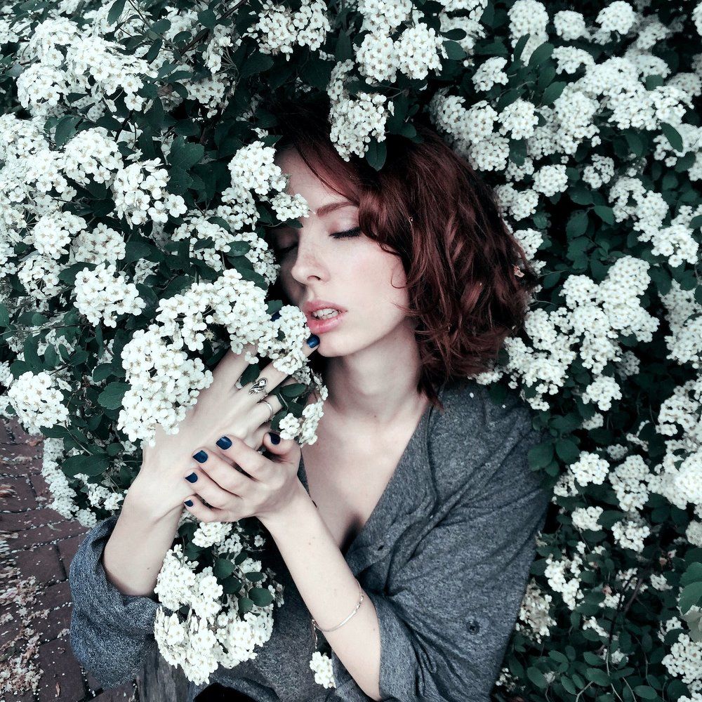 Представьте себе, Драконы - кругом