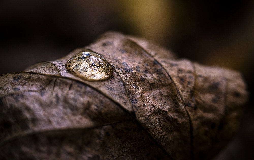 Рисунки осени