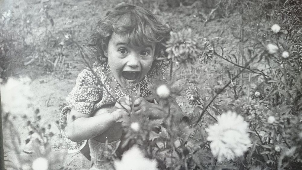 Photo #1030448